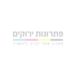 ממלא מקום